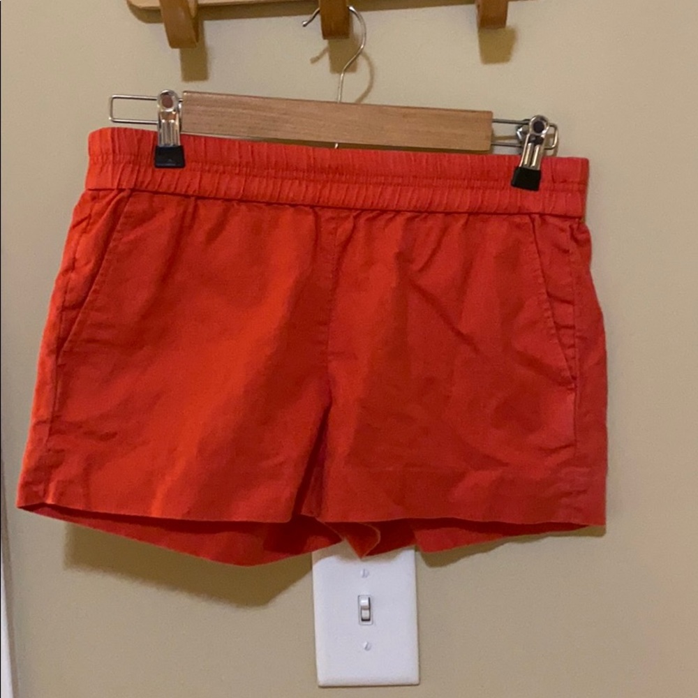J Crew Shorts